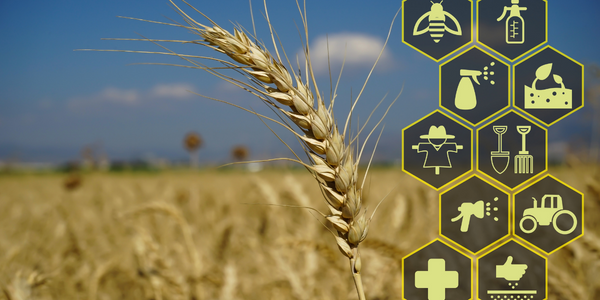  Smart Agriculture Project Ensures Crops Health and Reduces Losses - IoT ONE Case Study