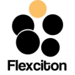 Flexciton Logo
