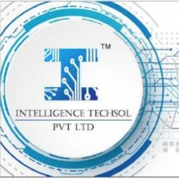 Intelligence Techsol Inc. Logo