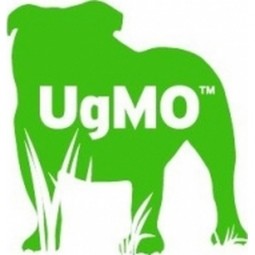 UgMO Technologies Logo