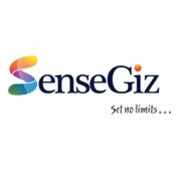 SenseGiz Technologies Pvt Ltd