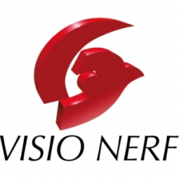 VISIO NERF Logo