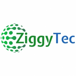 ZiggyTec Limited Logo